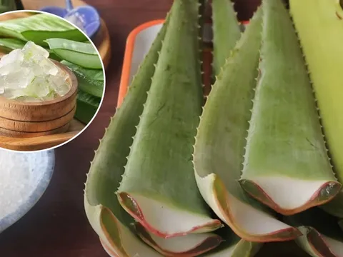 Mẹo sơ chế nha đam hết nhớt, ăn không bị đắng