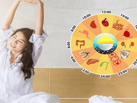 Tại sao phải uống nước lúc 3 giờ chiều? Chế độ chăm sóc sức khỏe 12 thời thần trong y học cổ truyền
