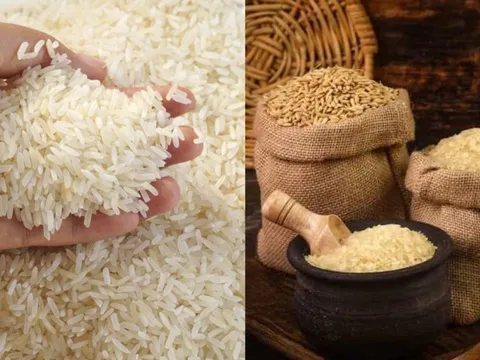 Vì sao người xưa khuyên đựng gạo trong thùng gốm vừa tốt sức khỏe vừa giữ phong thủy giàu có?