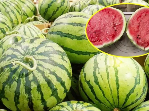 4 kinh nghiệm chọn dưa hấu ruột đỏ, vỏ mỏng, ngọt lịm