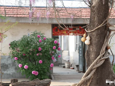 Cửa nhà có 5 thứ Thần Tài không mời cũng đến đưa tiền