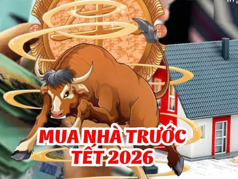Lửa Thử Vàng: 3 tuổi vượt gian nan, Vươn Mình đón phú Quý sau 100 ngày