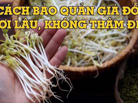 Cách bảo quản giá đồ để cả tuần vẫn mũm mĩm, không sợ thâm đen