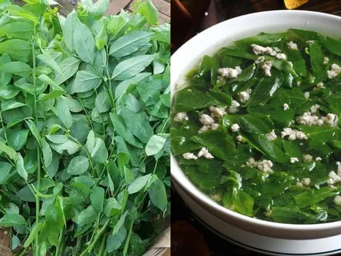 5 trường hợp nên Hạn Chế Ăn Rau Ngót