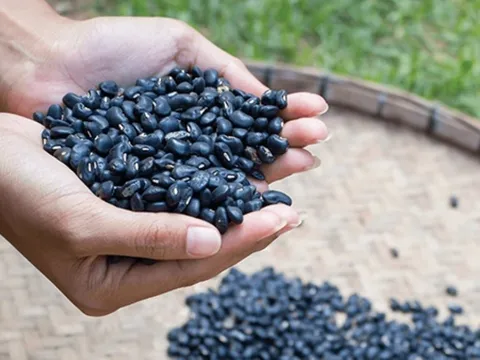 Uống 2 ly trà Đậu đen trước bữa ăn, giúp giảm cân, ít rụng tóc, da đẹp và trẻ lâu