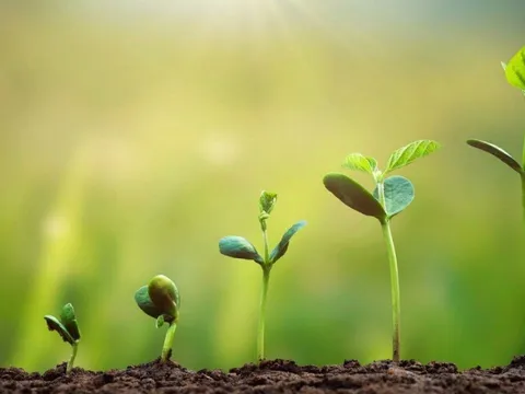 Chẳng cần hợp tuổi hợp mệnh, 5 yếu tố này giúp một người luôn được quý mến, càng già càng hạnh phúc, giàu có