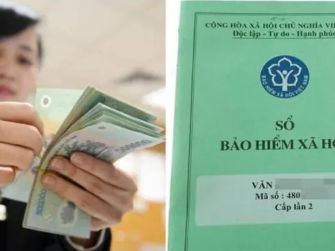 Theo quy định mới 2025: Lao động tự do tham gia BHXH tự nguyện được hưởng nhiều quyền lợi hơn trước