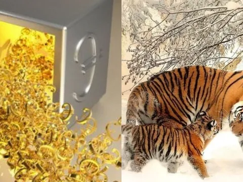 Tích tụ 3 năm: 3 con giáp này sẽ giàu sụ trong 90 ngày tới, tiền đẻ ra tiền, phúc lộc đủ đầy