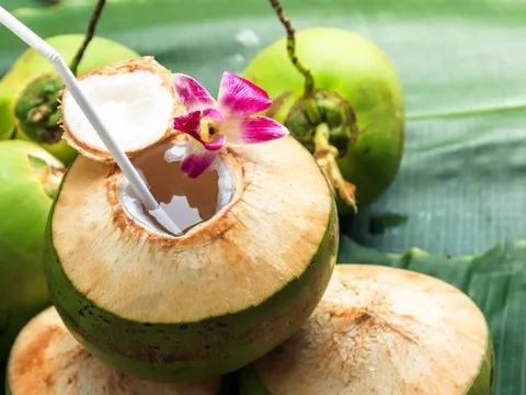 Có nên uống nước dừa hằng ngày không?
