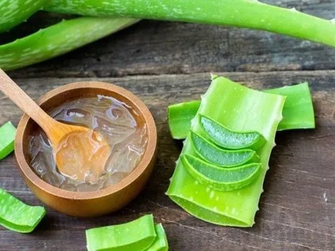 Nha đam – “thần dược” phục hồi và nuôi dưỡng mái tóc khỏe đẹp