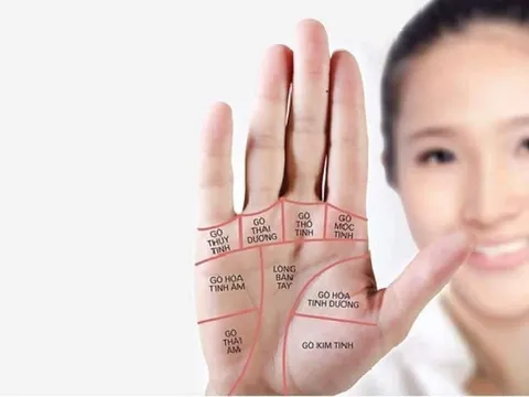 Phụ nữ có tướng tay này vượng phu ích tử: Giúp chồng thăng quan, con cái đỗ đạt, tiền vào như nước