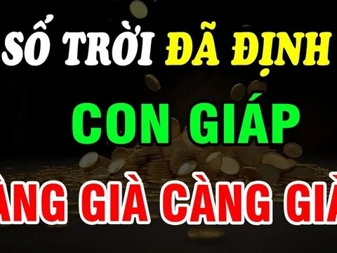 Top 3 con giáp Trẻ Khổ Già Giàu, số trời định  sẵn không cãi được