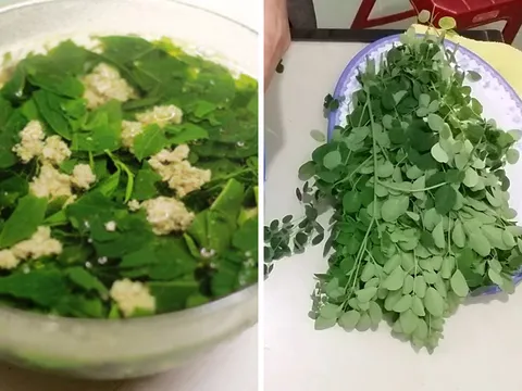 Loại rau chứa canxi gấp 4 lần sữa, vitamin C gấp 7 lần cam: Việt Nam có đầy, nhiều người không biết mà ăn