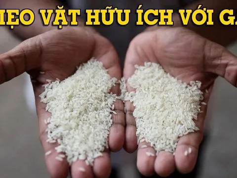 5 "bí mật" của gạo, biết dùng cả nhà được hưởng lợi