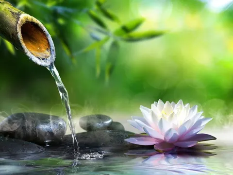 3 khổ nạn lớn nhất cuộc đời theo lời Phật dạy, vượt qua được ắt sống an nhàn hưởng phúc