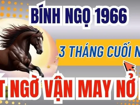 3 tuổi mệnh bùng sáng như pháo hoa, Giàu Có Vô Biên sau ngày 22/10