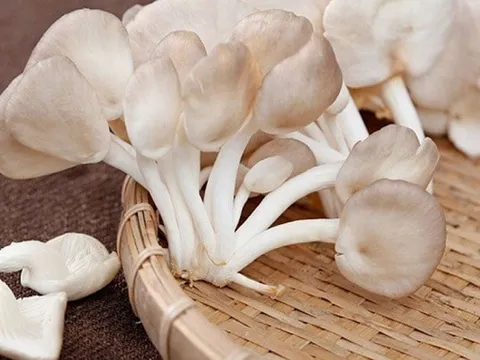 5 thực phẩm màu trắng tốt cho sức khỏe