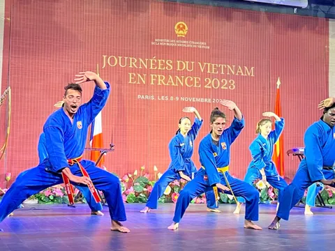 Ngày Việt Nam tại Pháp 2023: Ấn tượng Võ Việt!