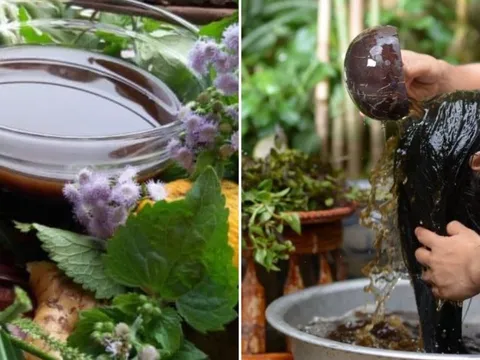 4 loại nước gội đầu chống rụng, giúp tóc đen bóng, tóc con mọc lên không ngừng