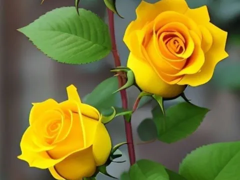 Cung tình duyên phủ mây mờ: 3 tuổi cẩn trọng 3 tháng tới kẻo tình duyên rạn nứt, xây khó, phá dễ