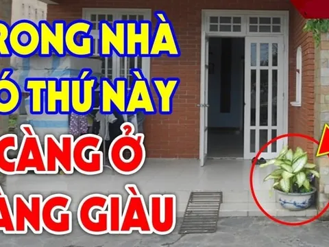 3 dấu hiệu nhà bạn sắp có Hỷ Sự: Càng ở càng giàu có