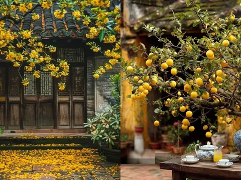 3 không gần cửa chính -4 không gần cửa sổ, tránh được nhà mới yên, thứ đó là gì?