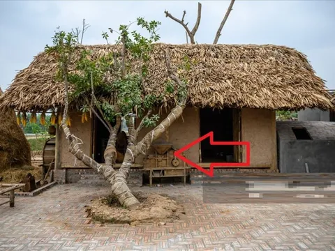 5 dấu hiệu ngôi nhà 'cạn khí', con cháu khốn đốn trăm bề