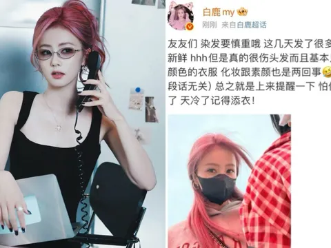 Bạch Lộc “quay xe” sau 3 ngày khiến netizen rần rần với mái tóc hồng