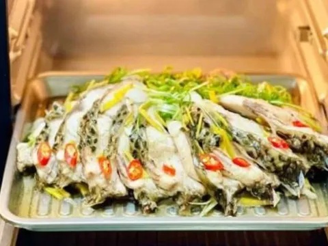 Loại cá Việt Nam giá rẻ, được thế giới săn lùng: Chuyên gia Mỹ khẳng định giàu dinh dưỡng hơn cả cá hồi