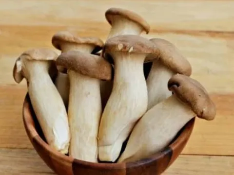 Loại nấm được ví như 'bào ngư chay' tốt cho hệ miễn dịch và tim mạch, bán rộng rãi với giá rẻ bất ngờ