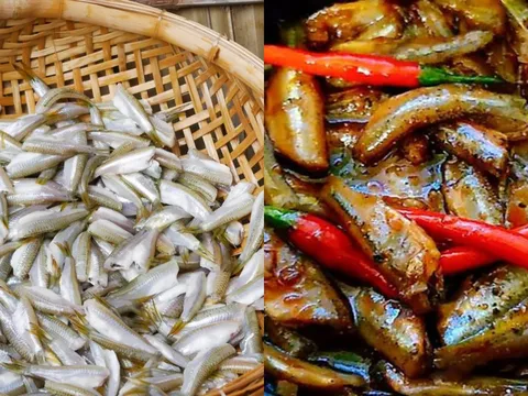 Cá lòng tong, món nhà nghèo một thời, nay thành đặc sản “đắt đỏ” hiếm có ở miền Tây