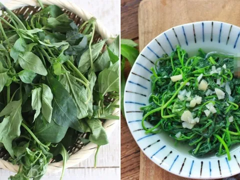 Loại lá nhiều canxi gấp 2 lần ớt, đem nấu canh giúp thanh nhiệt, cực kỳ bổ dưỡng
