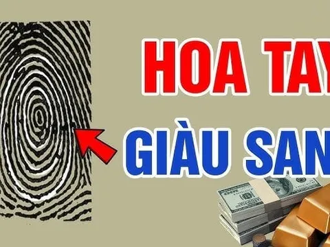 Đếm số hoa tay, ra đúng số này Tiền tiêu không hết, số sướng đến già