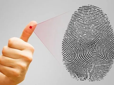 Hoa gì càng tưới nước càng nhanh héo?