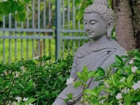 Phật dạy, có 3 điều không nên Cười trong cuộc sống, cười không đúng lúc, đúng chỗ sẽ mang họa vào thân