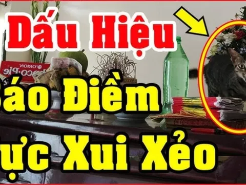 3 dấu hiệu cảnh báo điềm xui xẻo: Nên hóa giải ngay