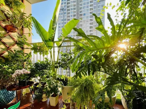 5 thứ không nên để ở ban công, kẻo dễ ảnh hưởng đến tài vận và sự nghiệp của gia chủ