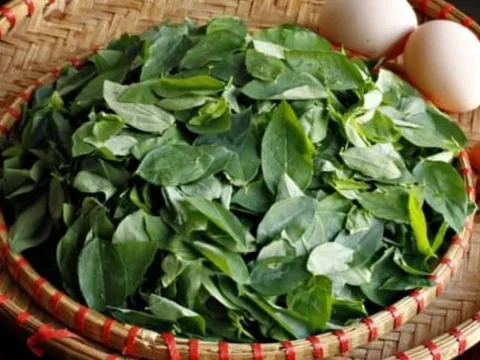 Loại rau quen thuộc trong vườn nhà Việt vượt mặt thịt bò: Giàu sắt bậc nhất, giúp hạ huyết áp, giải độc cơ thể