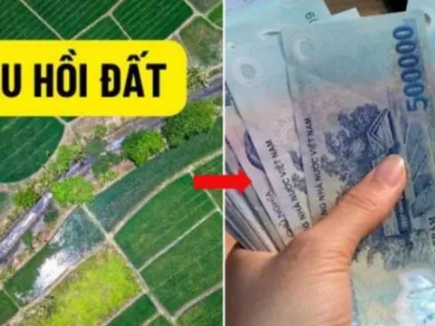 Quy định mới nhất 2025: Cách tính tiền đền bù khi Nhà nước thu hồi đất chi tiết nhất