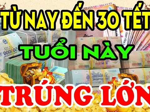Từ nay tới 30 Tết Nguyên Đán 2026: 3 con giáp Thuận Nước Đẩy Thuyền, đếm tiền mỏi tay