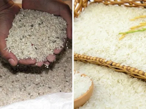 Người xưa dặn không sai: Gạo cất ở 5 nơi, cả gia đình mắc bệnh - Rất nhiều nhà phạm phải