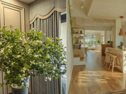 Nhà bị âm khí: 6 dấu hiệu nhận biết & cách hóa giải giúp làm ăn thăng tiến, con cái may mắn