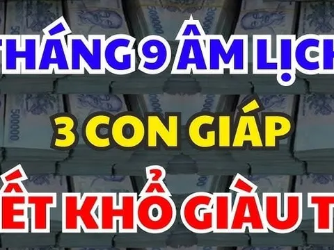 Nửa đầu tháng 11 dương lịch, 3 con giáp Tiền Tự Chui Vào Túi, phú quý bạt ngàn