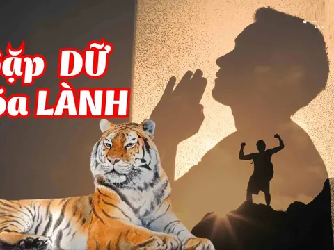 Từ ngày 1/11 đến 11/11, 3 con giáp may mắn Vây Quanh, gặp dữ hóa lành