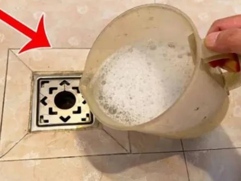 Côn trùng bay nhỏ trong phòng tắm? Mẹo tiêu diệt chỉ với 1 lần xả nước và ngăn mùi hôi hiệu quả