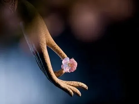 Nếu bạn phỉ báng 4 loại người này, bạn sẽ làm hao tổn phước báu của bản thân nhanh chóng