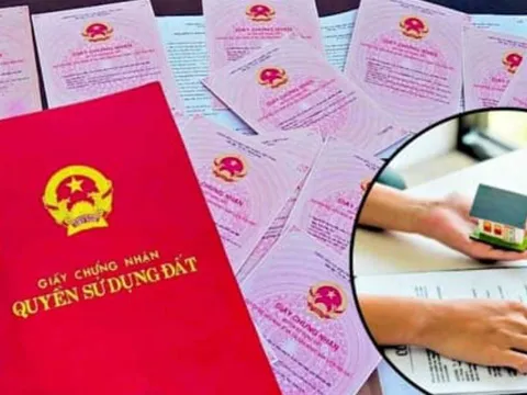 Từ nay, muốn tách sổ đỏ phải có diện tích tối thiểu bao nhiêu m²? Quy định mới nhất bạn cần biết