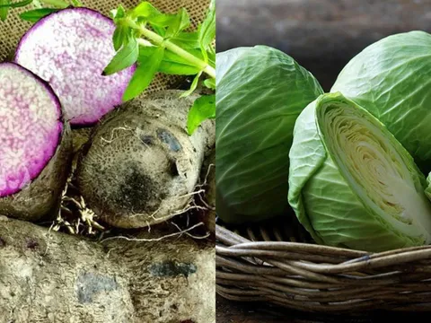 6 loại rau 'thần dược tự nhiên' giúp dạ dày khỏe lại từng ngày, ăn đều 1 tuần là thấy khác