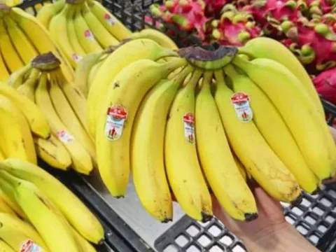 3 nhóm người nên hạn chế ăn chuối: Những điều cấm kỵ ai cũng phải biết