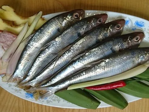 7 loại cá giàu dinh dưỡng, càng ăn càng tăng tuổi thọ